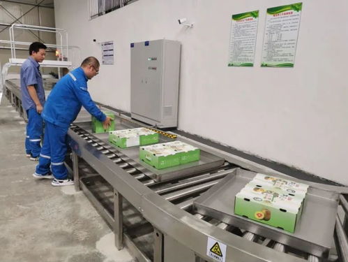 治愈系云游 广西风情瑶乡的美丽蝶变与广东省基础电信业务新篇章