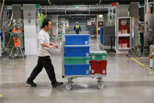 乐高小人回娘家 探秘嘉兴工厂——原来有一群人的工作是搭积木？